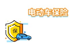 电动车交保险手机上怎么交？2025年平安电动车保险80元怎么购买？手机买保险「电动车交保险手机上怎么交？2025年平安电动车保险80元怎么购买？」