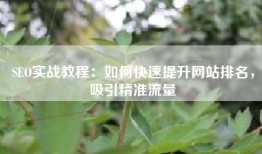 SEO实战教程：如何快速提升网站排名，吸引精准流量