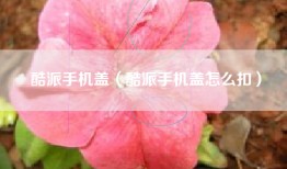 酷派手机盖（酷派手机盖怎么扣）