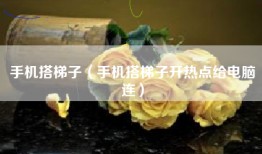 手机搭梯子（手机搭梯子开热点给电脑连）