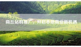 商丘站群推广，开启本地商业新机遇