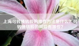 上海可转债转股的操作方法是什么？可转债转股的风险有哪些？