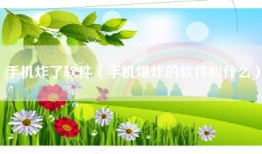 手机炸了软件（手机爆炸的软件叫什么）