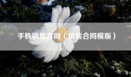 手机销售合同（销售合同模版）