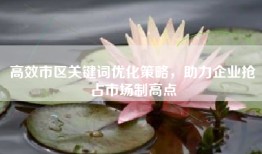 高效市区关键词优化策略，助力企业抢占市场制高点
