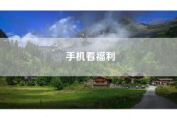 手机看福利