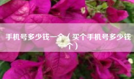 手机号多少钱一个（买个手机号多少钱一个）