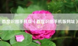 百度识图手机版（百度识图手机版网址）