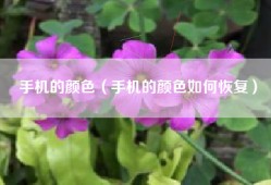 手机的颜色（手机的颜色如何恢复）