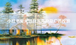 小红书聚光信息流开户及广告投放