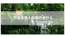 百度指数人群属性是什么