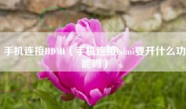 手机连接HDMI（手机连接hdmi要开什么功能吗）