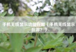 手机无线显示功能在哪（手机无线显示在哪？）
