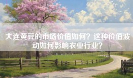 大连黄豆的市场价值如何？这种价值波动如何影响农业行业？