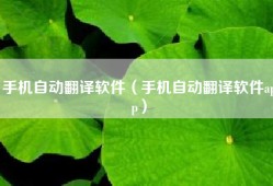 手机自动翻译软件（手机自动翻译软件app）