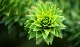济南到贵州旅游团报价大揭秘！快来看看吧！