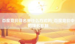 百度竞价排名是什么方式的_百度竞价中的排名机制