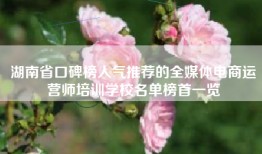 湖南省口碑榜人气推荐的全媒体电商运营师培训学校名单榜首一览