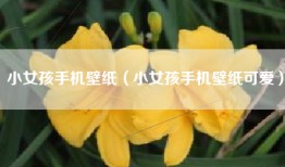 小女孩手机壁纸（小女孩手机壁纸可爱）