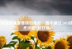 抖音登录需要核对身份一直不通过 2024技术攻略!(超好用)