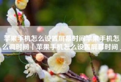苹果手机怎么设置屏幕时间苹果手机怎么调时间「苹果手机怎么设置屏幕时间」