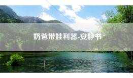 奶爸带娃利器-安静书