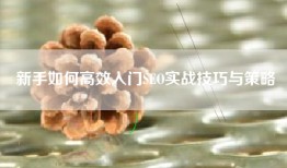 新手如何高效入门SEO实战技巧与策略