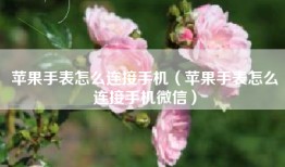 苹果手表怎么连接手机（苹果手表怎么连接手机微信）