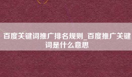 百度关键词推广排名规则_百度推广关键词是什么意思