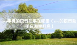 vivo手机的语音助手在哪里（vivo的语音助手在哪里开启）