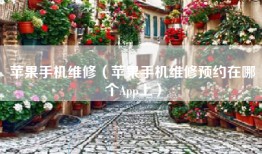 苹果手机维修（苹果手机维修预约在哪个App上）