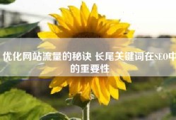 优化网站流量的秘诀 长尾关键词在SEO中的重要性
