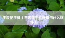手表配手机（手表跟手机连接用什么软件）