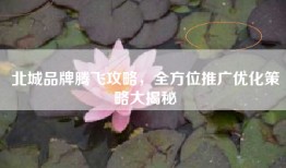 北城品牌腾飞攻略，全方位推广优化策略大揭秘