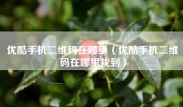优酷手机二维码在哪里（优酷手机二维码在哪里找到）