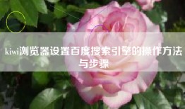 kiwi浏览器设置百度搜索引擎的操作方法与步骤