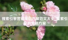 搜索引擎营销策划方案范文大全_搜索引擎的营销方案