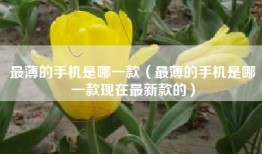 最薄的手机是哪一款（最薄的手机是哪一款现在最新款的）