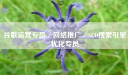 谷歌运营专员／网络推广／SEO搜索引擎优化专员