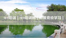SEO培训｜SEO培训班｜百度竞价学习｜