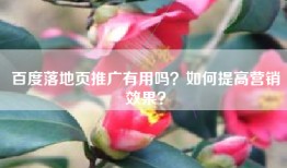 百度落地页推广有用吗？如何提高营销效果？
