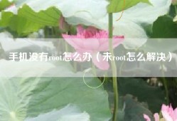 手机没有root怎么办（未root怎么解决）