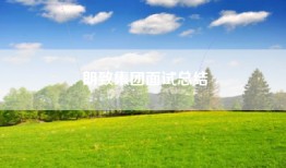 朗致集团面试总结