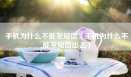 手机为什么不能发短信（手机为什么不能发短信出去）
