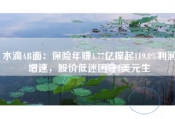 水滴AB面：保险年赚4.77亿撑起119.8%利润增速，股价低迷困守1美元生