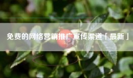 免费的网络营销推广宣传渠道「最新」
