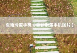 夏新滑盖手机（夏新滑盖手机图片）