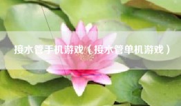 接水管手机游戏（接水管单机游戏）