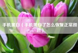 手机黑白（手机黑白了怎么恢复正常颜色）