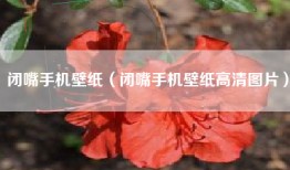 闭嘴手机壁纸（闭嘴手机壁纸高清图片）